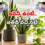 Snake Warning Signs: అజ్ఞాత శబ్దాలు? పొడవాటి చర్మం? ఇంట్లోకి అది వచ్చినట్లే.. ఇలా చేయండి!