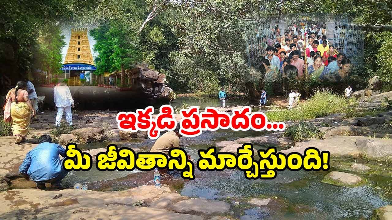 Sri Sailam Secret Temple: శ్రీశైలంలో రహస్య ఆలయం.. ఇది ప్రసాదమా? పవిత్ర సంకేతమా?