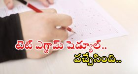 TET Exam: తెలంగాణ టెట్ ఎగ్జామ్ షెడ్యూల్ వచ్చేసింది..