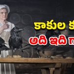 OTT Movie : అబ్బాయిల్ని బోనుల్లో బంధించి అలాంటి పని… ఐఎండీబీలో 7.1 రేటింగ్… ఓటీటీని వణికిస్తున్న హర్రర్ మూవీ