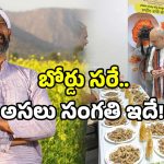 Turmeric Board Nizamabad: నిజామాబాద్‌లో పసుపు బోర్డు.. రైతులకు కలిగే లాభమేంటి?