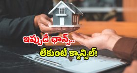 Kamal Haasan : జగమొండి... ఈగోతో సినిమానే రిలీజ్ చేయడం లేదు!