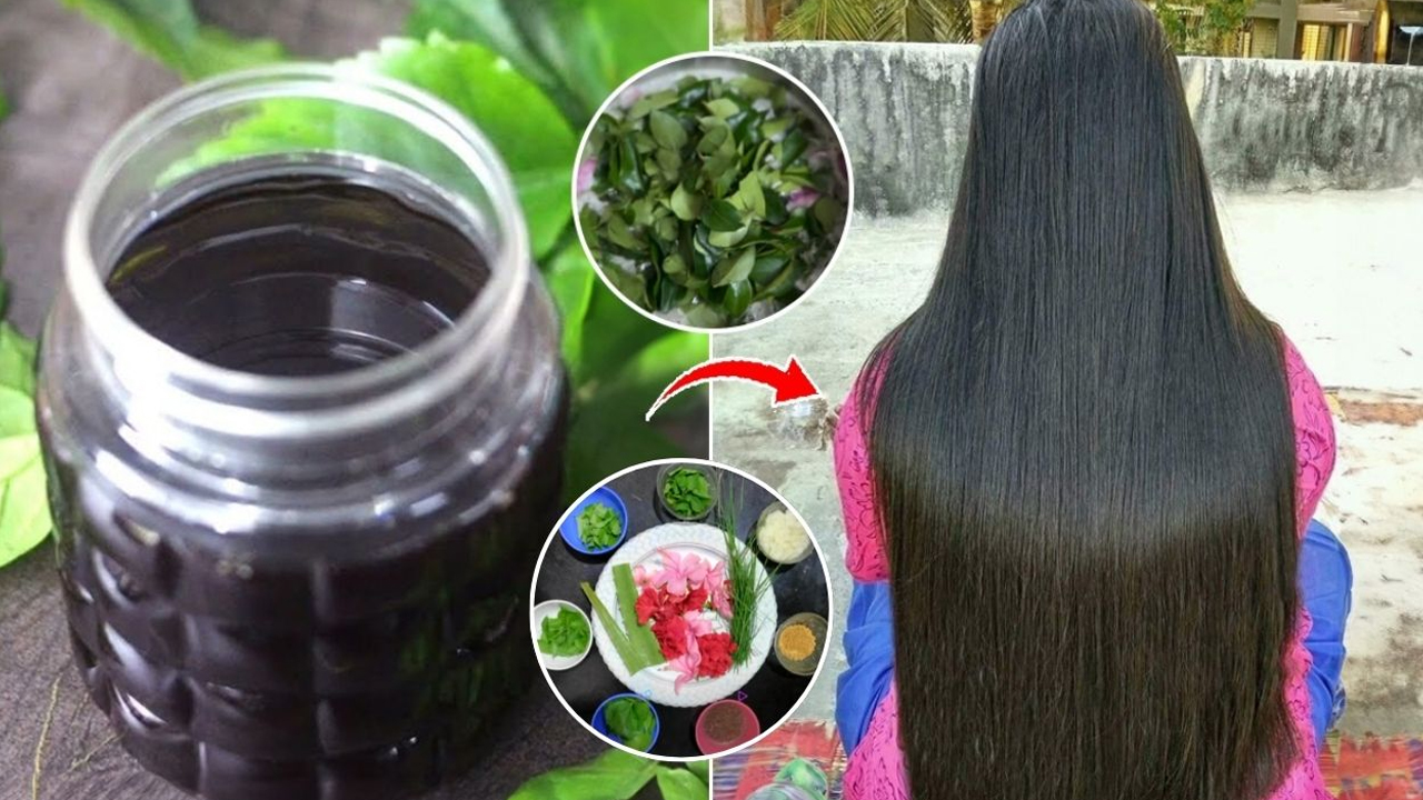Herbal Oil for Long Hair: జుట్టు ఒత్తుగా, ఫాస్ట్‌గా పెరుగాలంటే.. ఈ హెర్బల్ హెయిర్ ఆయిల్ ట్రై చేయండి