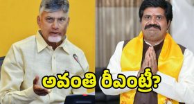 Avanthi Srinivas: బాబు గ్రీన్ సిగ్నల్.. టీడీపీలోకి అవంతి..?