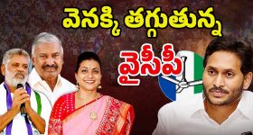 Sana Yousuf: బర్త్ డే రోజే పాక్ సోషల్ మీడియా ఇన్‌ఫ్యూయెన్సర్ హత్య.. చంపింది బంధువేనా?