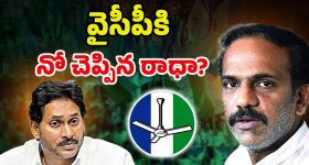 Vangaveeti Radha: జగన్ ఆఫర్‌కి నో చెప్పిన రాధా! టీడీపీలో ఆ పదవి ఫిక్స్