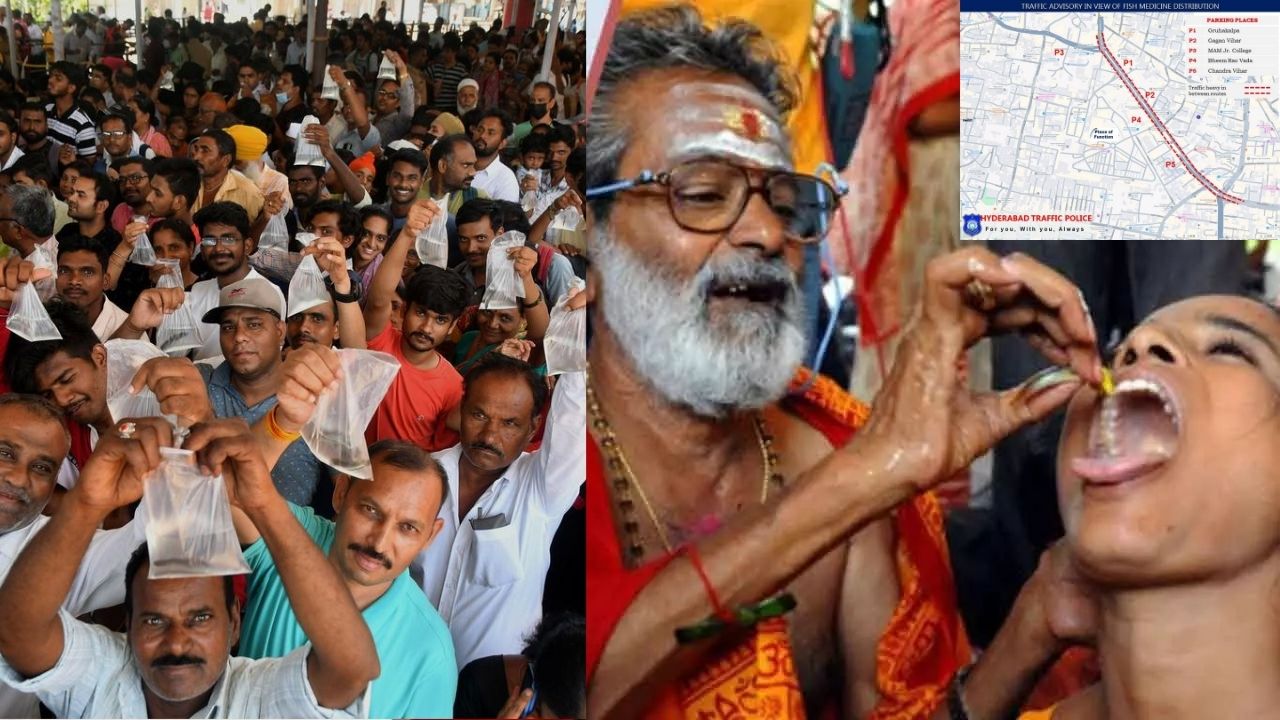 Hyderabad : చేప మందు పంపిణీ.. హైదరాబాద్‌లో ఈ రూట్లలో ట్రాఫిక్ డైవర్షన్..