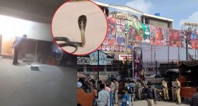 Hyderabad : సంధ్య థియేటర్‌లో పాము కలకలం.. వీడియో వైరల్..