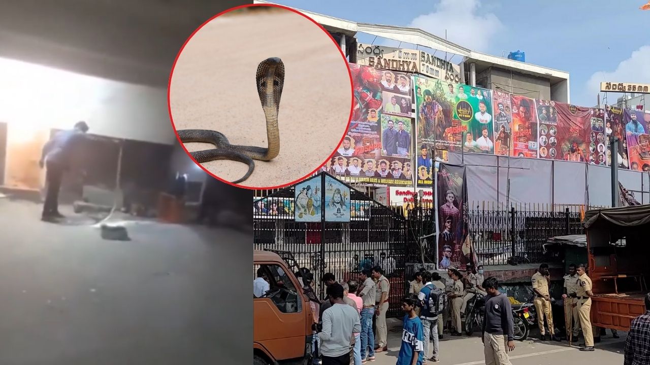 Hyderabad : సంధ్య థియేటర్‌లో పాము కలకలం.. వీడియో వైరల్..