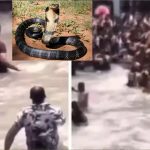 Viral Video : పిక్నిక్ స్పాట్‌లో పెద్ద పాము.. పర్యాటకులు ఫసక్