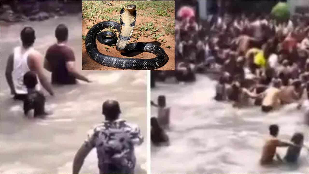 Viral Video : పిక్నిక్ స్పాట్‌లో పెద్ద పాము.. పర్యాటకులు ఫసక్