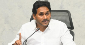 Hanging Basket Plants: మీ బాల్కనీలో ఈ మొక్కలు పెడితే.. ఇంటి లుక్ పూర్తిగా మారిపోతుంది !