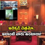 Video Viral 2025: బాత్రూమ్ నుంచే విచారణ.. హైకోర్టులో ఊహించని ఘటన