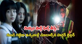 Aaruguru Pathivrathalu heroine : ఆరుగురు పతివ్రతలు హీరోయిన్ ఇప్పుడు ఏమి చేస్తున్నారో తెలుసా.?