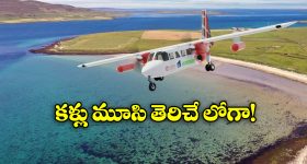 Watch Video: పామును కాపాడేందుకు పోతే.. జెట్ స్పీడ్‌తో! ఆ వీడియోకు 15M వ్యూస్