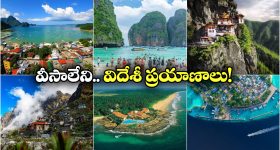 AP Govt: ఏపీలో రైతులకు శుభవార్త.. దరఖాస్తు ఈ విధంగా