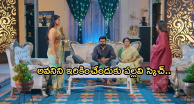 Intinti Ramayanam Today Episode: అవని, అక్షయ్ మధ్య ఫిట్టింగ్ పెట్టిన రాజేంద్ర ప్రసాద్.. కోడళ్ల మధ్య నలిగిపోతున్న పార్వతి..
