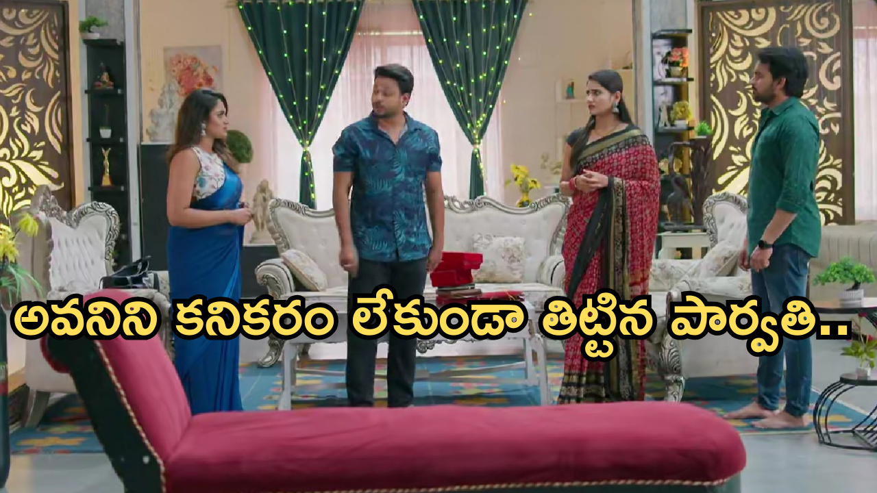 Intinti Ramayanam Today Episode: తప్పును అవని మీదకు తోసేసిన అక్షయ్.. రాజేంద్ర ప్రసాద్ పై పార్వతి సీరియస్..
