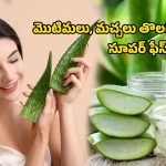 Aloevera Beauty Tips: వర్షాకాలంలో తెల్లగా మెరిసిపోవాలా? ఈ ఫేస్ ప్యాక్ ట్రై చేయండి..