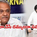 CPI Narayana: పవన్ విడాకులు ఎలా ఇచ్చారు? అది సనాతన ధర్మం కాదే.. నోరు పారేసుకున్న నారాయణ!