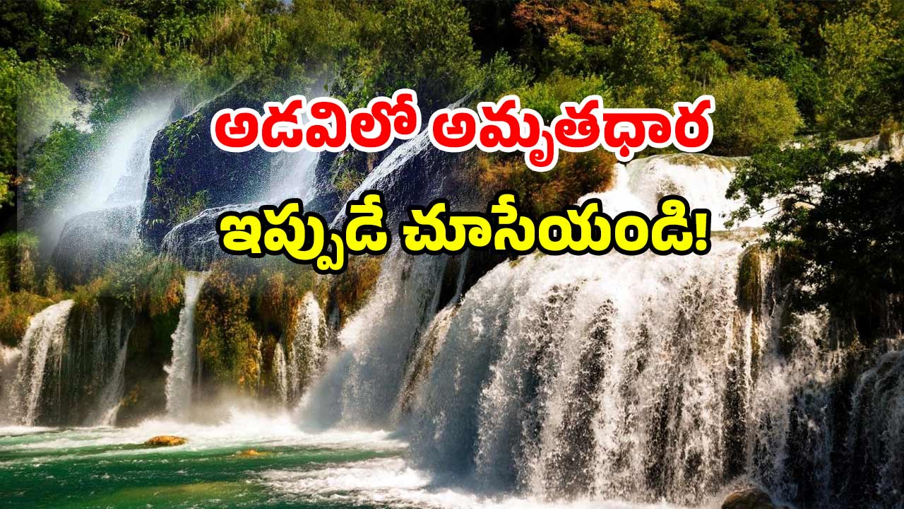 Hidden Waterfalls: తెలంగాణలోని స్విట్జర్లాండ్ ఇదే.. ‘ఫారిన్ ఫీలింగ్’ స్పాట్ మిస్ కావద్దు!
