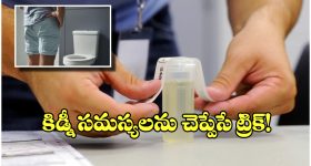 Kidney Health Check: ఈ చిన్న చిట్కాతో మీ కిడ్నీ సమస్యలను కనిపెట్టేయొచ్చు, టెస్టులు అవసరం లేదు!