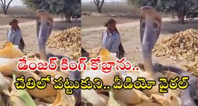 Rana Daggubati : 'కన్నడ' వివాదంలోకి రానా.. ఏమన్నా బూతే..?