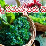 Kidney Health: ఈ ఆకు కూరలతో కిడ్నీ సమస్యలకు చెక్ !