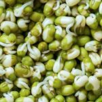 Moong Sprouts: మొలకెత్తిన పెసర్లు తింటే.. ఇన్ని లాభాలా ?