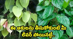Liver Problems: లివర్ ప్రాబ్లమ్స్ ఏవైనా సరే ఇట్టే నయం..! అదేంటో తెలుసా?