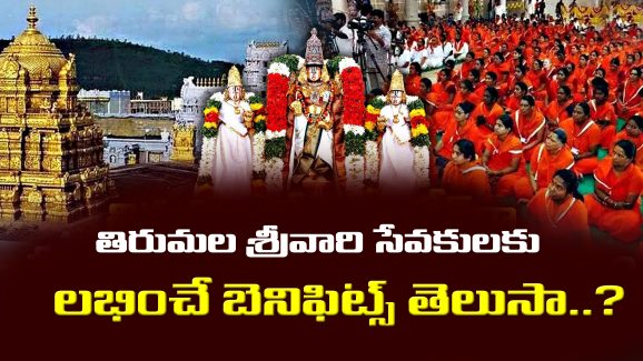 Tirumala Benefits: తిరుమల శ్రీవారి సేవకులకు లభించే బెనిఫిట్స్ తెలిస్తే.. మీరు సేవకు రెడీ అయిపోతారు.