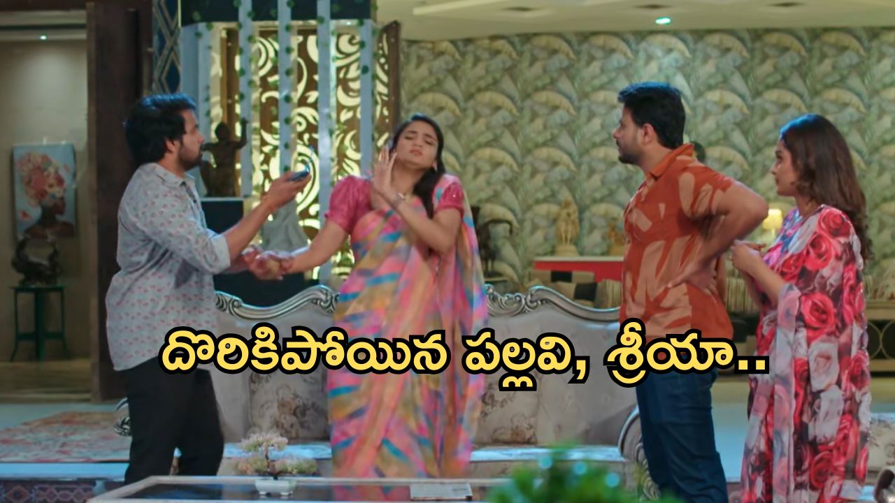 Intinti Ramayanam Today Episode: అవనికి రాజేంద్రప్రసాద్ గిఫ్ట్.. పల్లవి, శ్రీయాకు దిమ్మతిరిగే షాక్..ఫైనల్ గా అవని పంచ్..