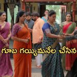 Illu Illalu Pillalu Today Episode: శ్రీవల్లిని ఆడుకున్న ప్రేమ, నర్మద.. భాగ్యం ఎంట్రీతో రచ్చ..