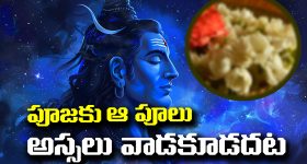 America Walmart Incident: అమెరికాలో రెచ్చిపోయిన అగంతకుడు.. 11 మందిపై కత్తితో దాడి చేసి..