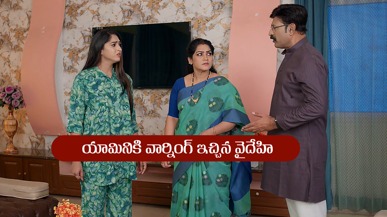 Brahmamudi Serial Today July 31st: ‘బ్రహ్మముడి’ సీరియల్‌: యామినికి జలక్‌ ఇచ్చిన రాజ్‌ – ఇప్పటికైనా మారమని చెప్పిన వైదేహి