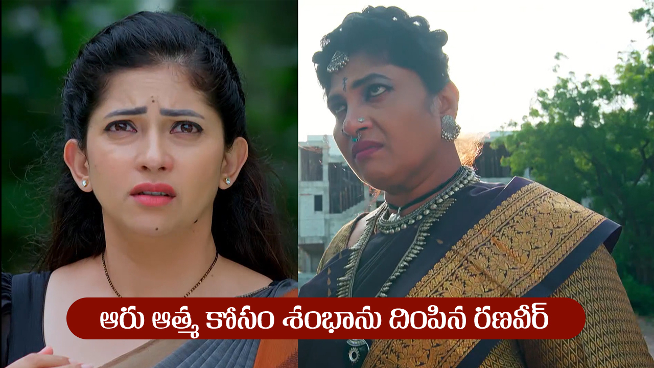 Nindu Noorella Saavasam Serial Today August 1st : ‘నిండు నూరేళ్ల సావాసం’ సీరియల్‌: శంభాను రంగంలోకి దింపిన రణవీర్‌
