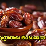 Dried Dates: రోజూ ఎండు ఖర్జూరాలు తింటే.. బోలెడు లాభాలు !