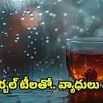 Herbal Tea: వర్షాకాలంలో వ్యాధుల బారిన పడకుండా ఉండాలంటే ?