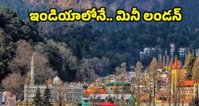 Internet Viral Meme: ఈ వైరల్ ఫొటోలో ఉన్న పిల్లాడు.. ఇప్పుడు ఎలా ఉన్నాడో తెలుసా? చూస్తే షాకవుతారు!