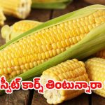 Sweetcorn Benefits: స్వీట్‌కార్న్ తింటే.. ఎన్ని లాభాలో తెలుసా ?