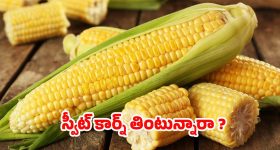 Today Gold Rate: అయ్యయ్యో.. మళ్లీ మోత మోగిస్తున్న బంగారు ధరలు..