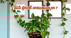 Hyderabad Private Schools: పిల్లల చదువు పేరుతో లక్షల రూపాయల బాదుడు – ఎవరి బాధ్యత?