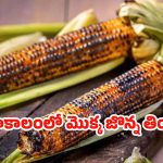Corn Benefits: వర్షాకాలంలో మొక్కజొన్న తింటే..?