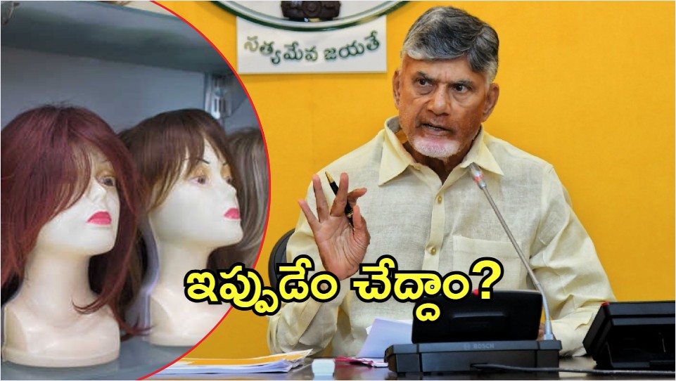 CM  Chandrababu: సీఎం చంద్రబాబు.. ‘హెయిర్’ వ్యవహారం, రేపోమాపో నిర్ణయం