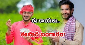 AP farmers profit: ఏపీలో పండిన బంగారం.. ఇదేం రేటు బాబోయ్!
