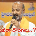Bandi Sanjay: పార్టీలో నాకు వ్యతిరేకంగా పనిచేస్తున్నారు.. బండి సంజయ్ సంచలన వ్యాఖ్యలు