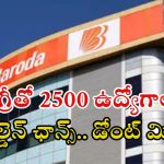 Bank of Baroda: బ్యాంక్ ఆఫ్ బరోడాలో 2500 ఉద్యోగాలు.. జాబ్ వస్తే అక్షరాల రూ.85,000 జీతం