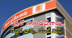 Bank of Baroda: బ్యాంక్ ఆఫ్ బరోడాలో 2500 ఉద్యోగాలు.. జాబ్ వస్తే అక్షరాల రూ.85,000 జీతం