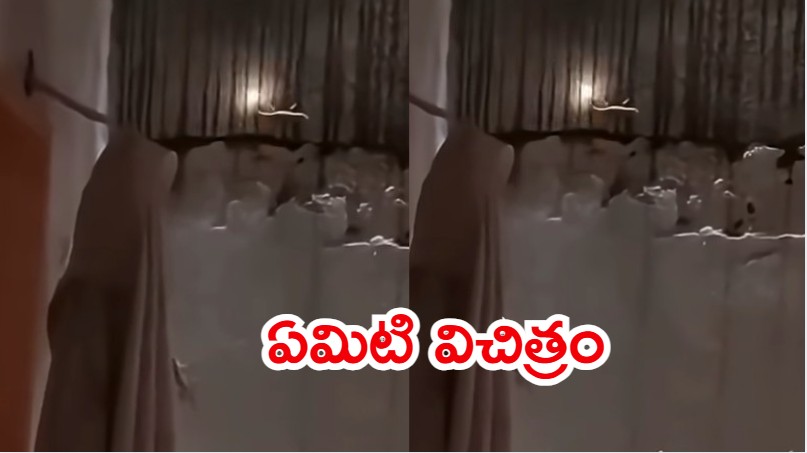 Viral Video: బల్లి తోక నుంచి నిప్పులు.. అదెలా సాధ్యం, వైరల్ వీడియో