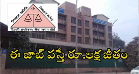 DSSSB Recruitment: పది, ఇంటర్ అర్హతతో 2119 ఉద్యోగాలు, అప్లై చేస్తే నౌకరి, ఇంకెందుకు ఆలస్యం